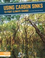 Using Carbon Sinks To Fight Climate Change