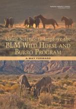 Using Science To Improve The Blm Wild Horse And Burro Program