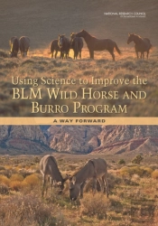 Using Science To Improve The Blm Wild Horse And Burro Program