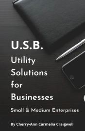 Utility Solutions For Businesses - Usb For Small And Medium Enterprises