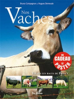 Bertrand.pt - Vaches (Nos)