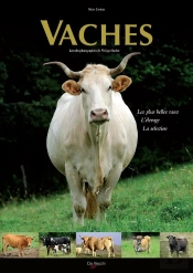 Vaches
