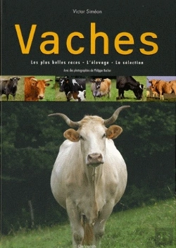 Bertrand.pt - Vaches