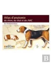 Vademecum : Atlas D'Anatomie Du Chien, Du Chat Et Des Nac ; Les Fondamentaux