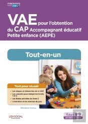 Vae Pour L'Obtention Du Cap Accompagnement Éducatif Petite Enfance ; Aepe