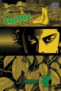 Bertrand.pt - Vagabond (Vizbig Edition), Vol. 3