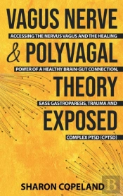 Vagus Nerve And Polyvagal Theory Exposed