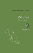Valet Noir ; Vers Une Écologie Du Récit