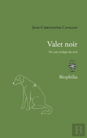 Valet Noir ; Vers Une Écologie Du Récit
