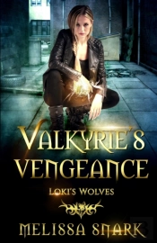 Valkyrie'S Vengeance