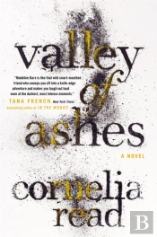 Valley Of Ashes
