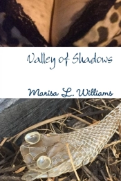 Valley Of Shadows