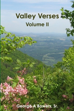 Bertrand.pt - Valley Verses Volume Ii