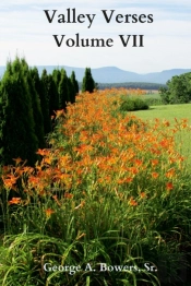 Valley Verses Volume Vii