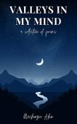 Valleys In My Mind