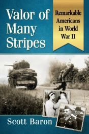 Valor Of Many Stripes