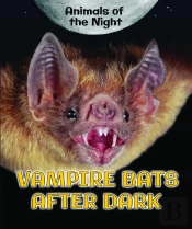 Vampire Bats After Dark