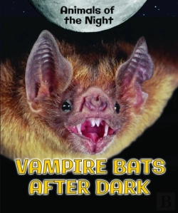 Bertrand.pt - Vampire Bats After Dark