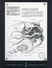 Vampyroteuthis Infernalis