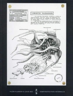 Bertrand.pt - Vampyroteuthis Infernalis