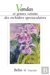 Vandas Et Genres Voisins Des Orchidées Spectaculaires