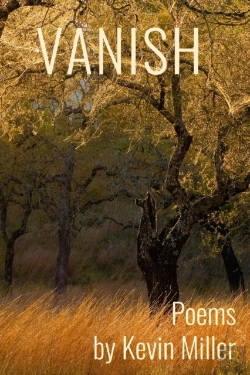 Bertrand.pt - Vanish
