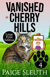 Vanished In Cherry Hills