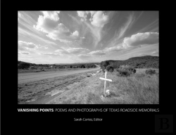 Bertrand.pt - Vanishing Points