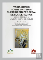 Variaciones Sobre Un Tema El Ejercicio Procesal De Los Dere