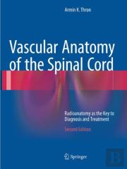 Vascular Anatomy Of The Spinal Cord