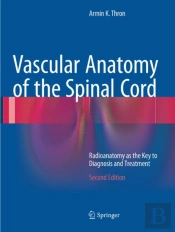 Vascular Anatomy Of The Spinal Cord