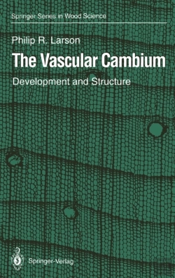 Bertrand.pt - Vascular Cambium