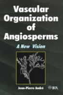 Vascular Organization Of Angiosperms