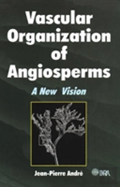Vascular Organization Of Angiosperms