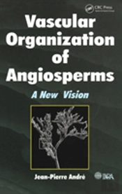 Vascular Organization Of Angiosperms