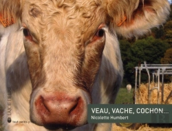 Bertrand.pt - Veau, Vache, Cochon...