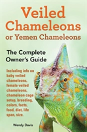 Veiled Chameleons Or Yemen Chameleons As Pets. Info On Baby Veiled Chameleons, Female Veiled Chameleons, Chameleon Cage Setup, Breeding, Colors, Facts, Food, Diet, Life Span, Size.
