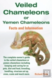 Veiled Chameleons Or Yemen Chameleons