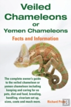 Bertrand.pt - Veiled Chameleons Or Yemen Chameleons