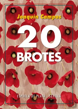 Bertrand.pt - Veinte Brotes
