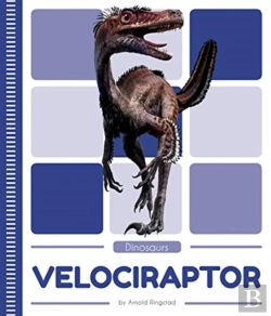Bertrand.pt - Velociraptor