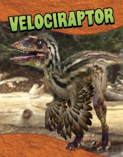 Bertrand.pt - Velociraptor