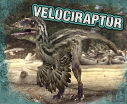Bertrand.pt - Velociraptor