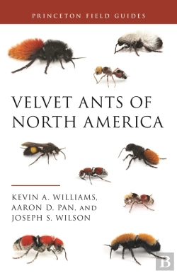 Bertrand.pt - Velvet Ants Of North America