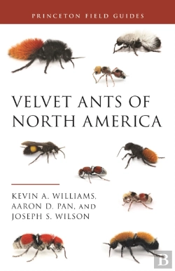 Bertrand.pt - Velvet Ants Of North America