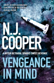 Vengeance In Mind