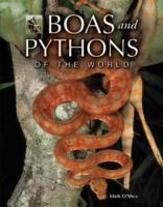 Venomous Snakes Of The World