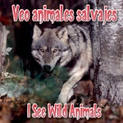 Veo Animales Salvajes