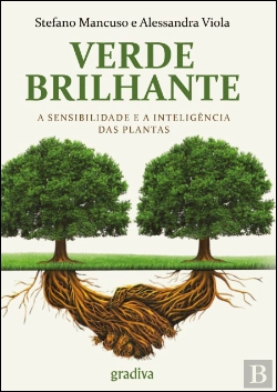 Bertrand.pt - Verde Brilhante