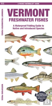 Vermont Freshwater Fishes